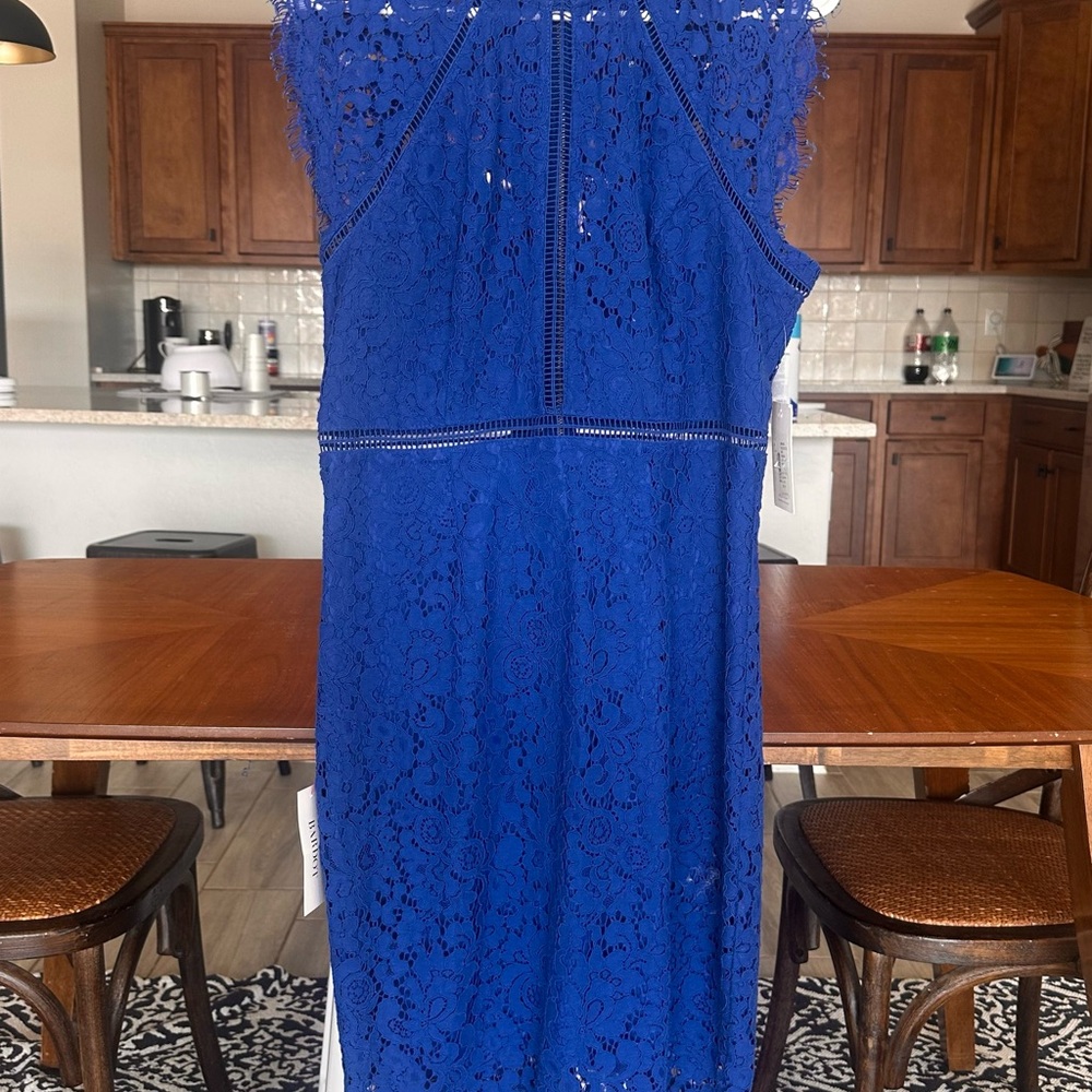 Bardot Royal Blue Lace Midi Dress